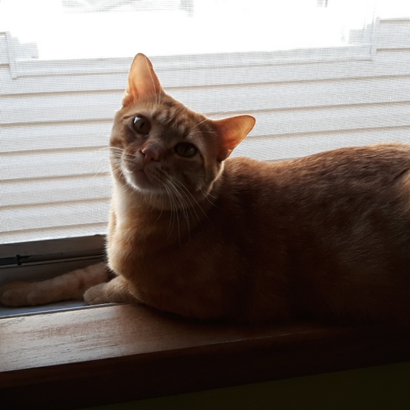 Meet your Posher, Michelle - Picture 5 of 5